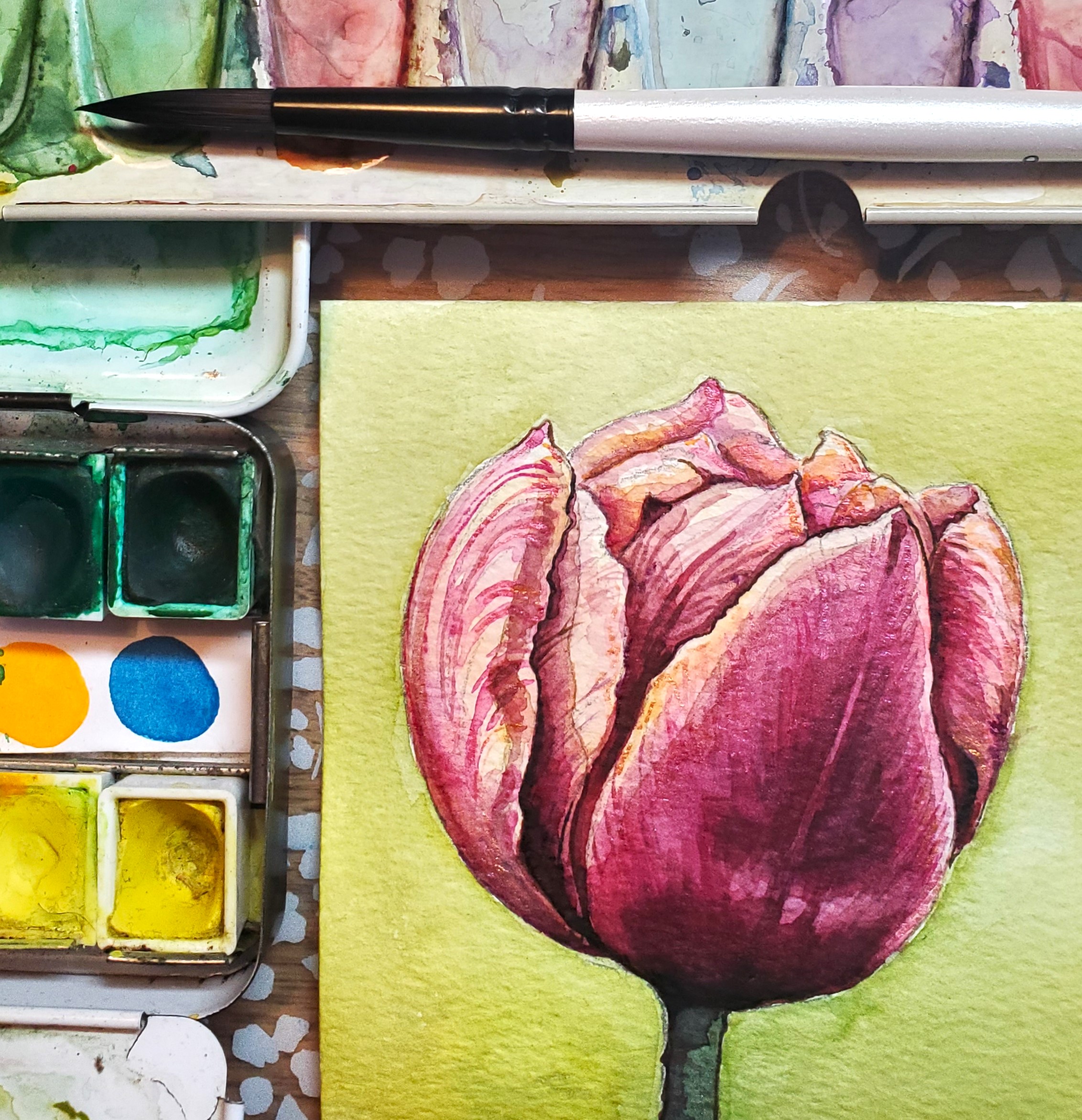 Tulpe mit Aquarellfarben malen - Farbschachtel