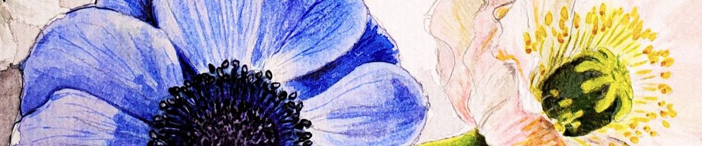 Detailansicht Blüten