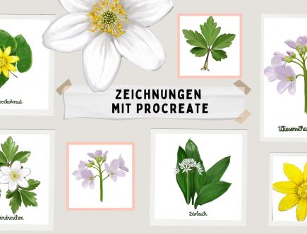 Zeichnungen mit Procreate für den Parkführer Putbus, Cover