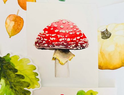 Aquarell Fliegenpilz