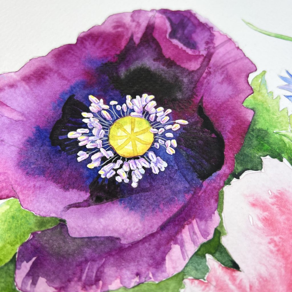 Mohnblüte mit Aquarell