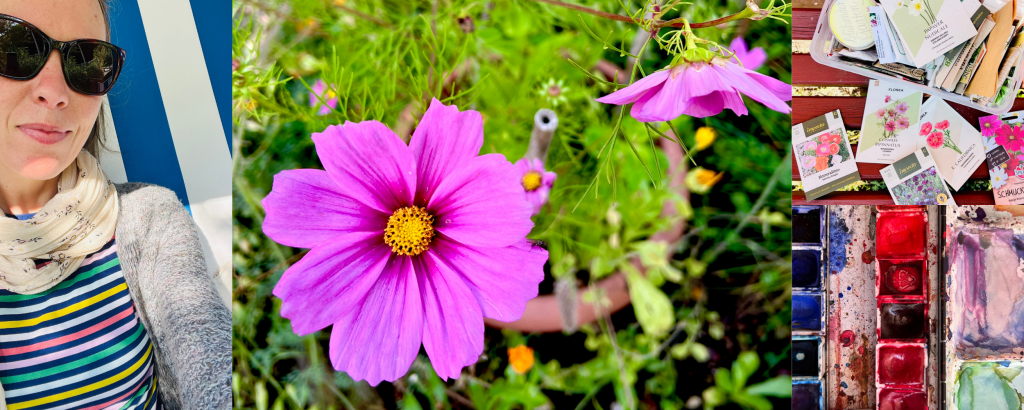 Header Blumenanzucht 2