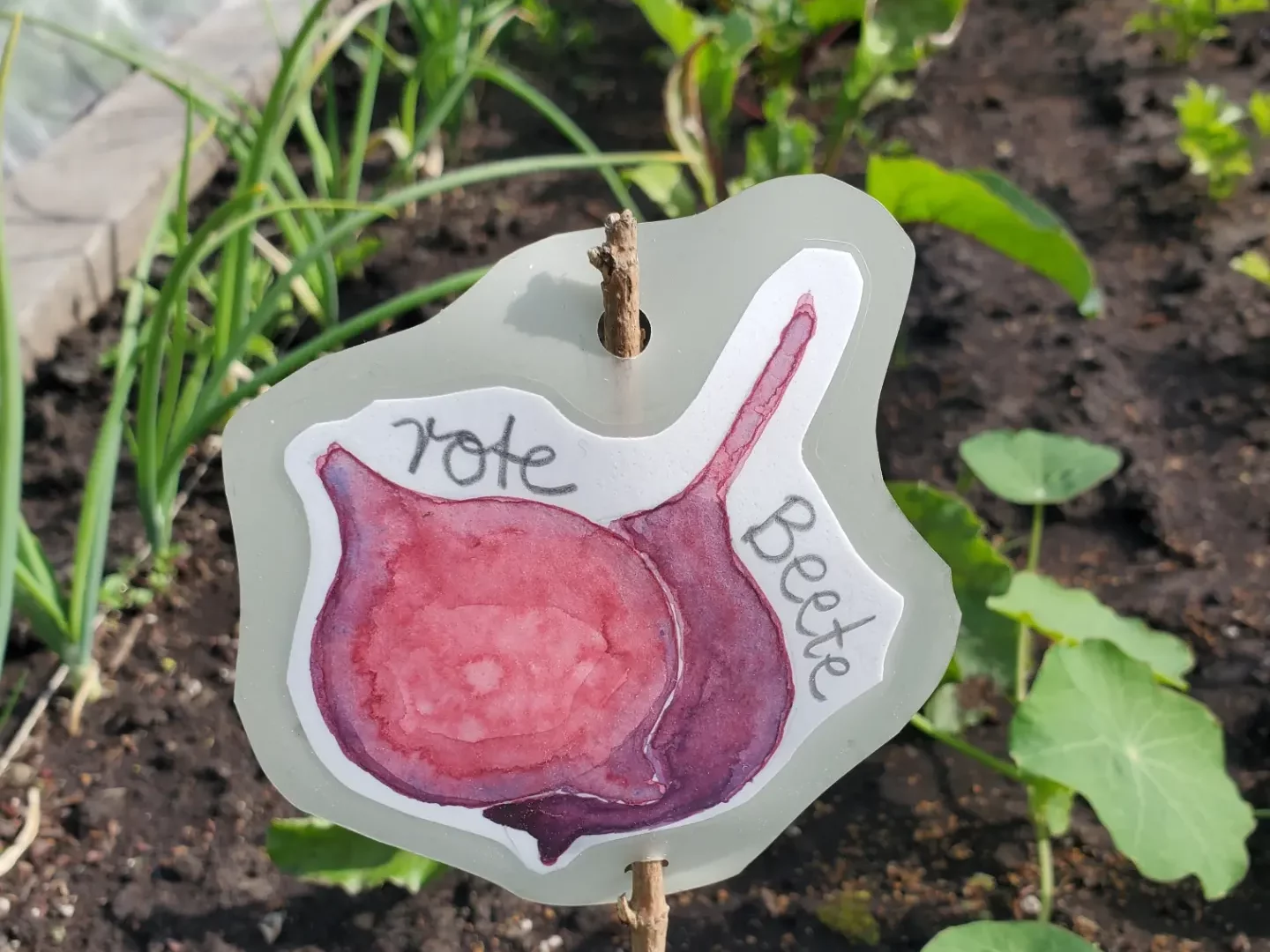 Pflanzenstecker im Beet