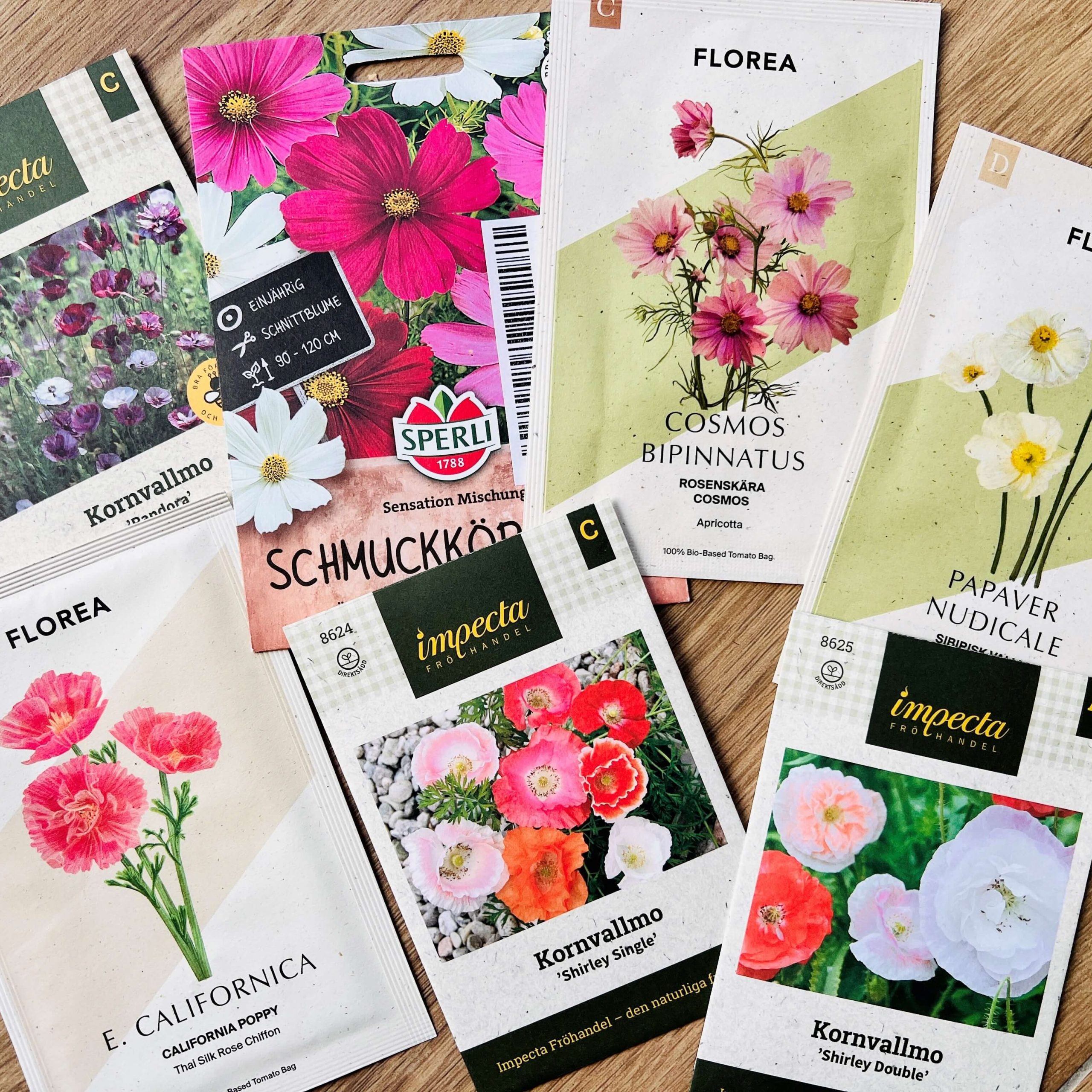 Blumensamen