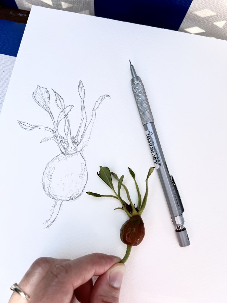Mein Minenbleistift