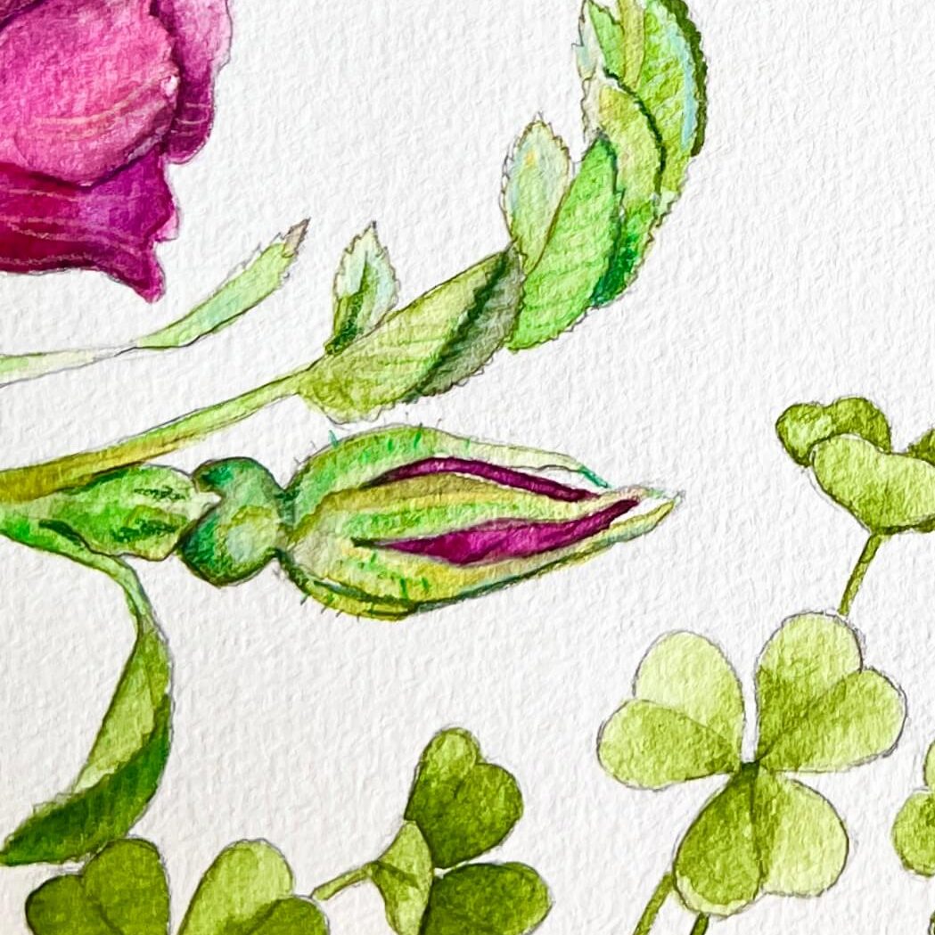 Tolle Aquarellfarbtöne im Test