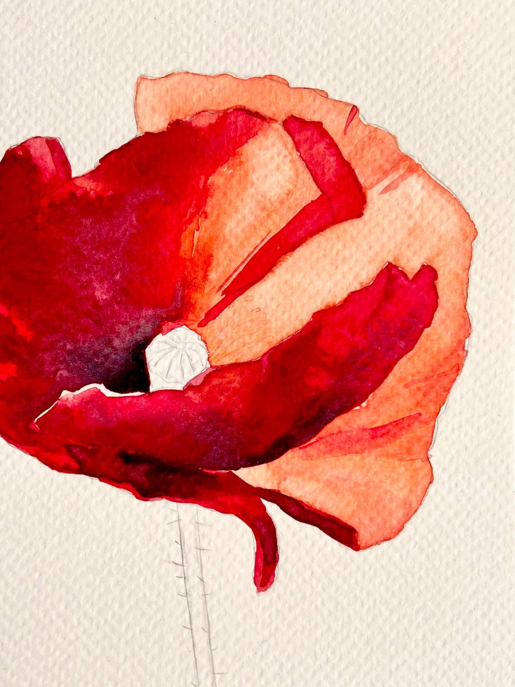 erste Farbschicht - die Blüte