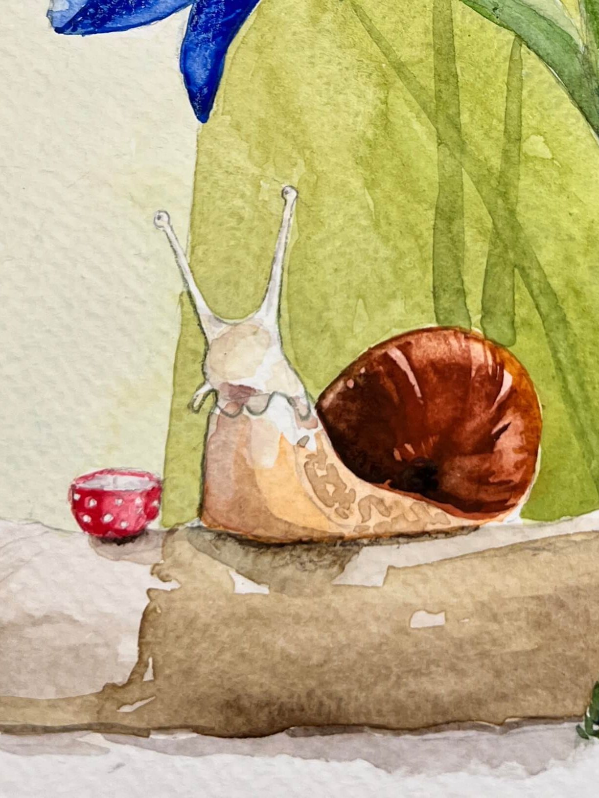 Detail - Schnecke