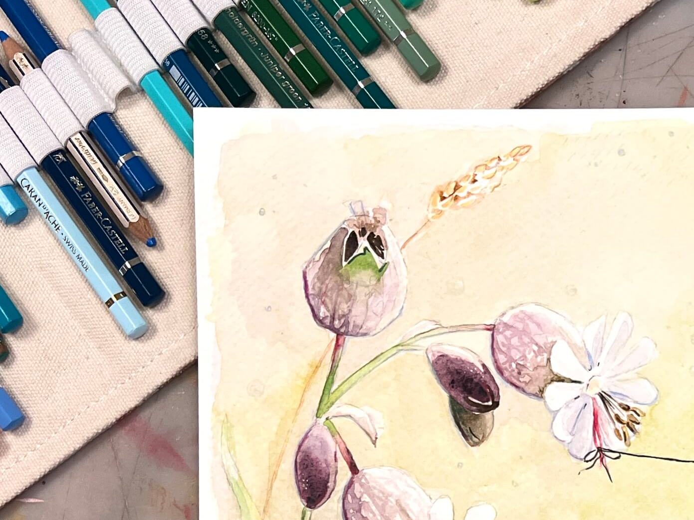 Details mit Buntstift