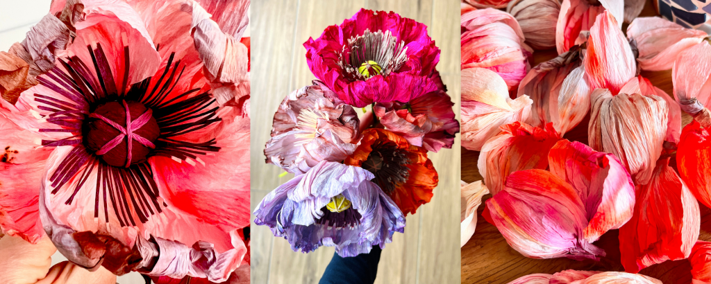Header Papierblumen