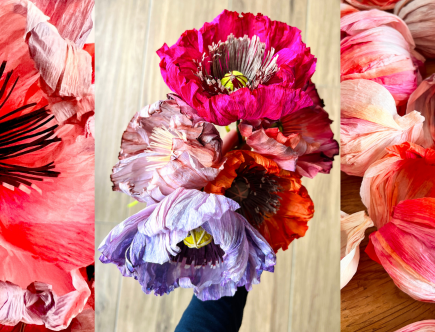 Header Papierblumen
