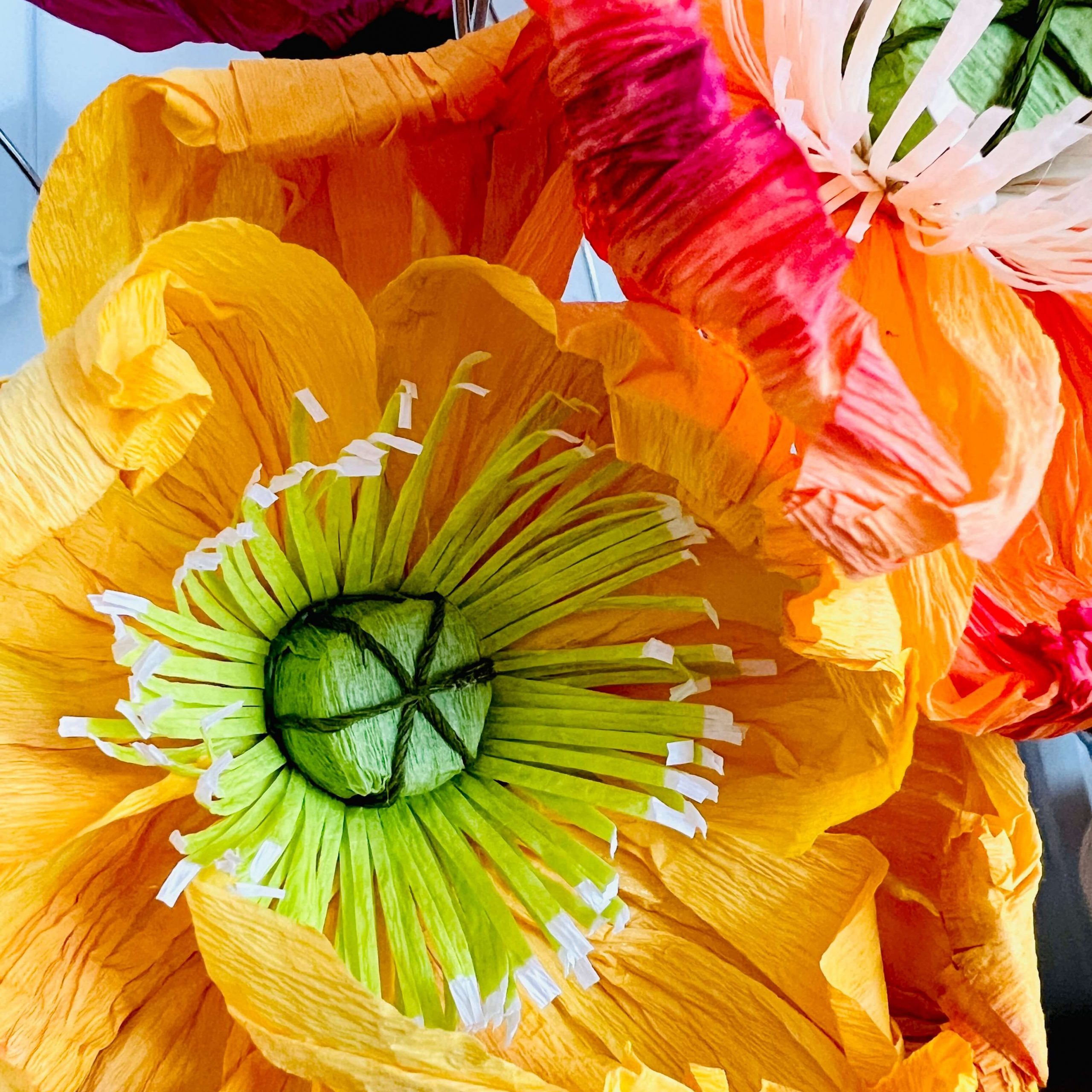 Blütenmitte mit Pappscheibe