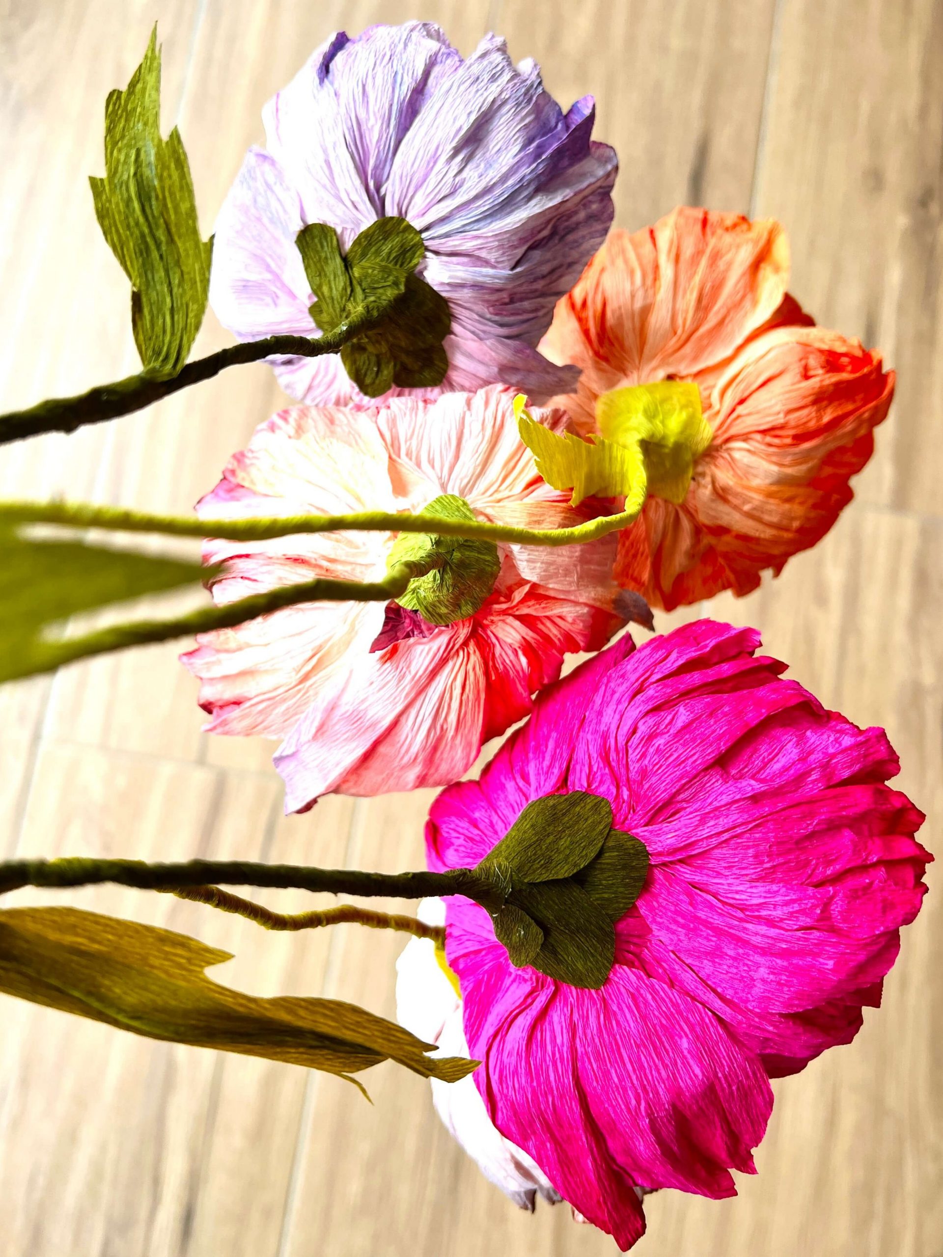 Stängel und Blätter