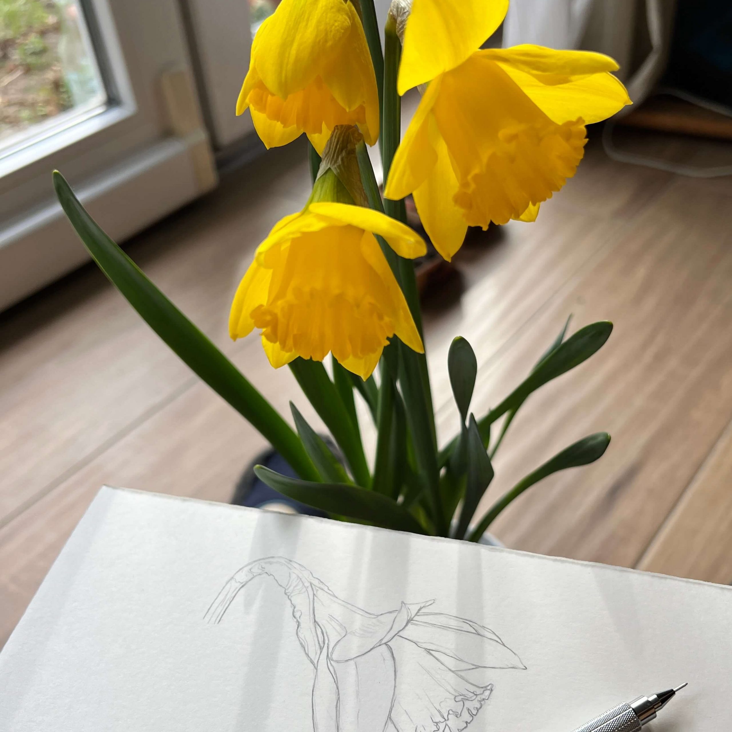 Mein Arbeitsplatz am Fenster