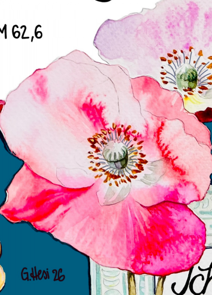 Header Nur auf Gott wartet still meine Seele