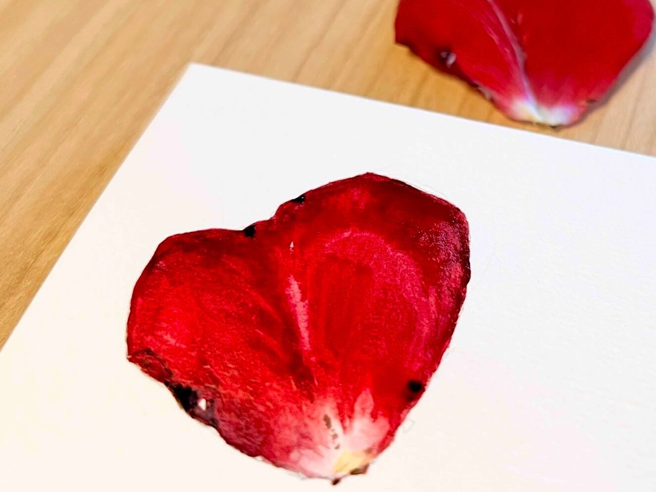Aquarell Rosenblatt