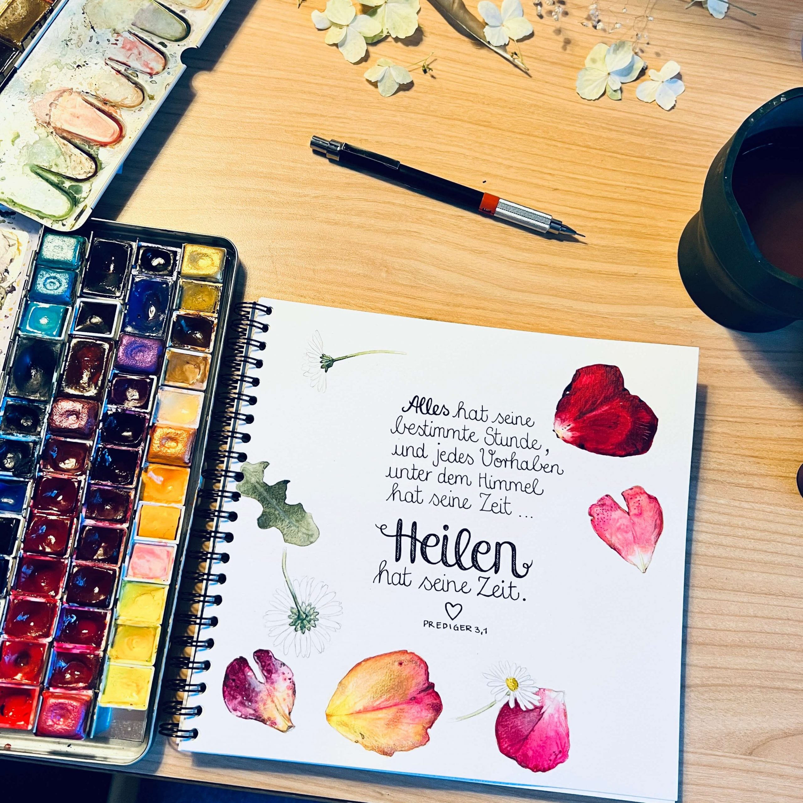 weitere Rosenblätter folgen