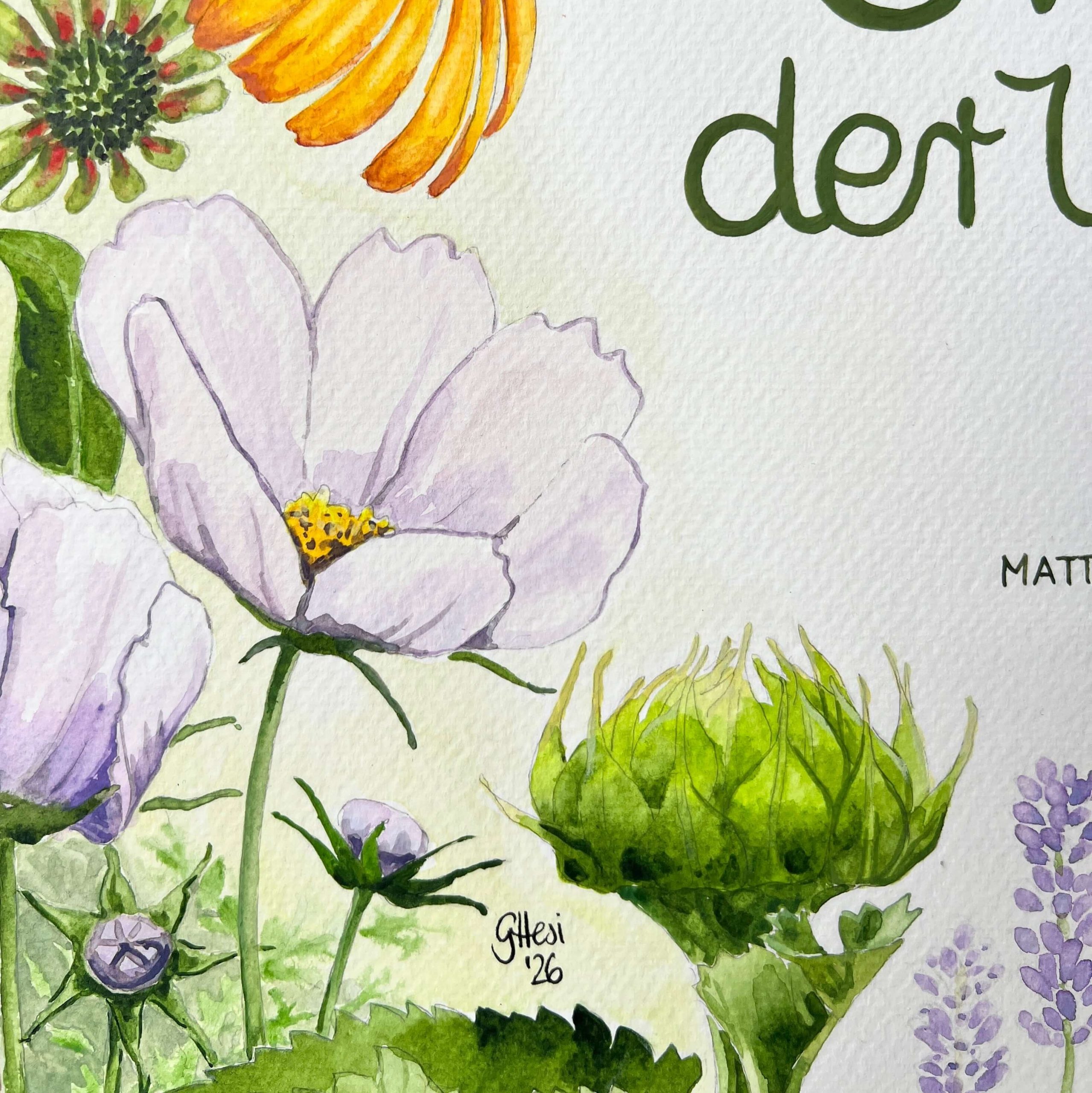 Cosme und Sonnenblumenknospe