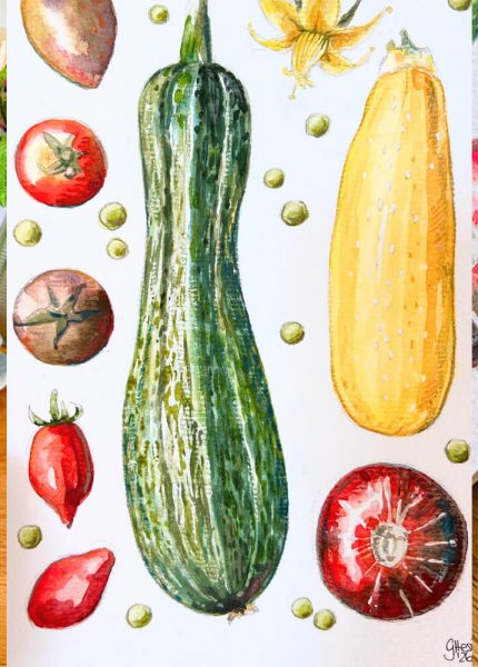 Header Zucchini und Tomaten