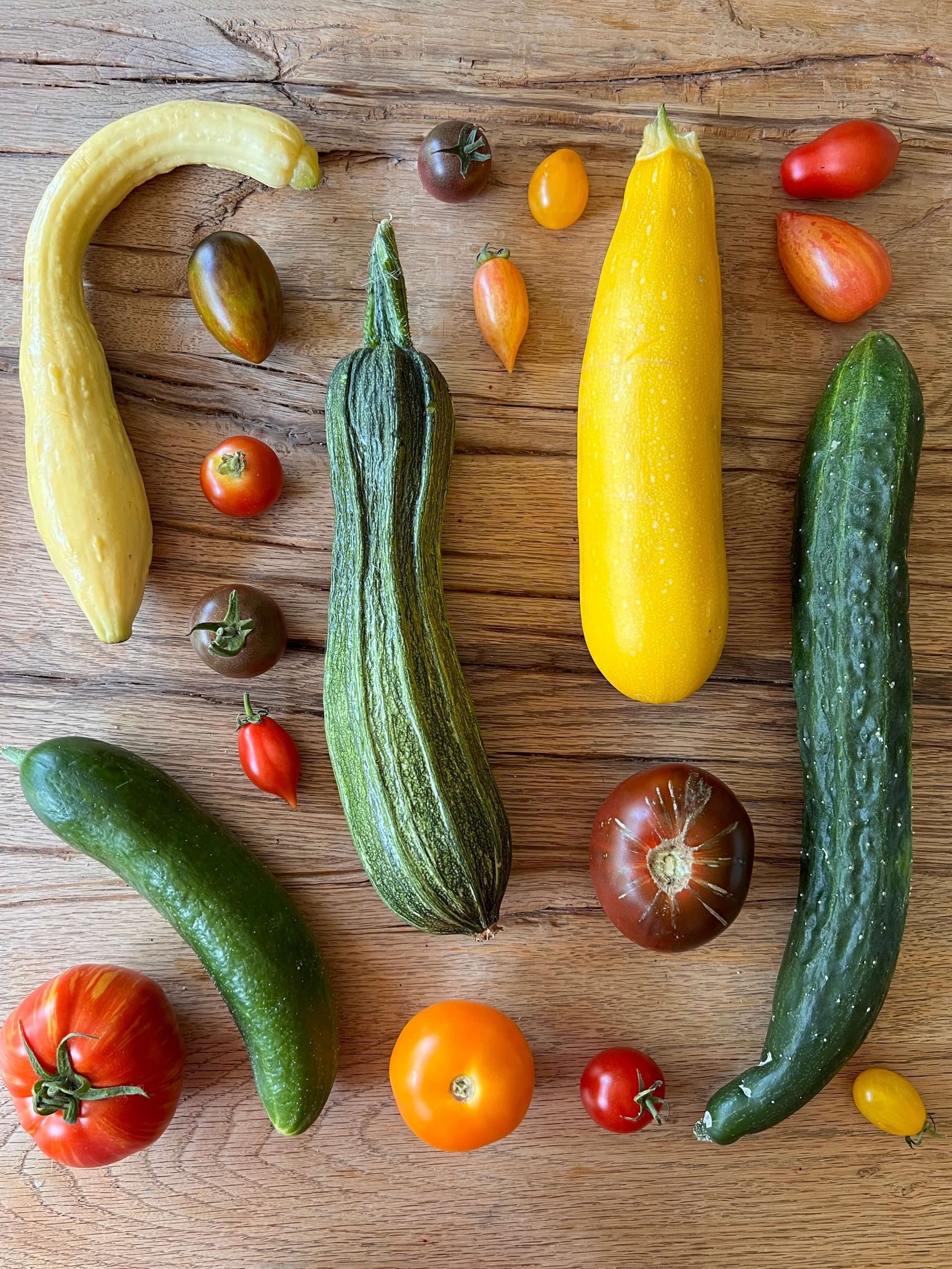 Zucchini und Tomaten-Vielfalt